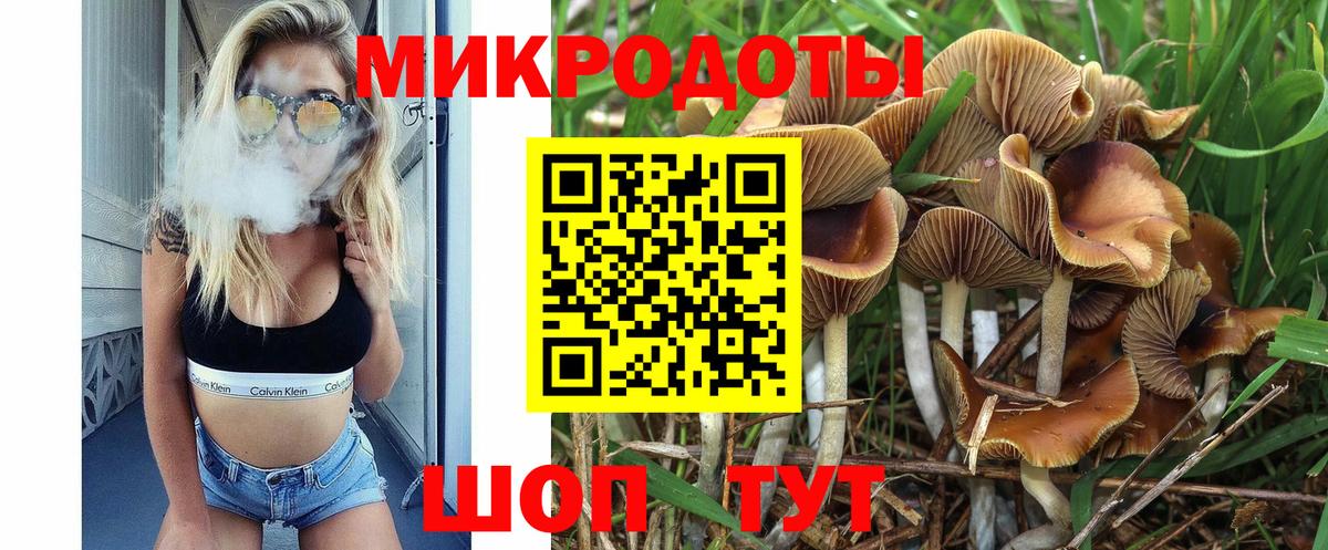 Галлюциногенные грибы GOLDEN TEACHER  Вход с VPN  Галлюциногенные грибы прущие грибы  Грязи 